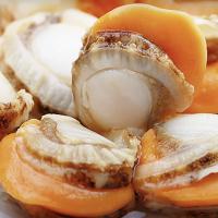 贝肉新鲜冷冻特级大号带黄带膏商用海鲜水产红贝批发黄蚬子鲜活