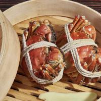 活物10只装大闸蟹鲜活残蟹残次蟹断脚蟹掉脚全公螃蟹海鲜特大现货